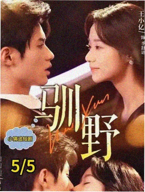 剧集样本《屋顶的信号灯》的结构缩略图